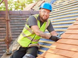 Best Roof Maintenance and Cleaning  in Greendale, IN